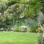 By Maggiore With Garden Views Ferienhaus