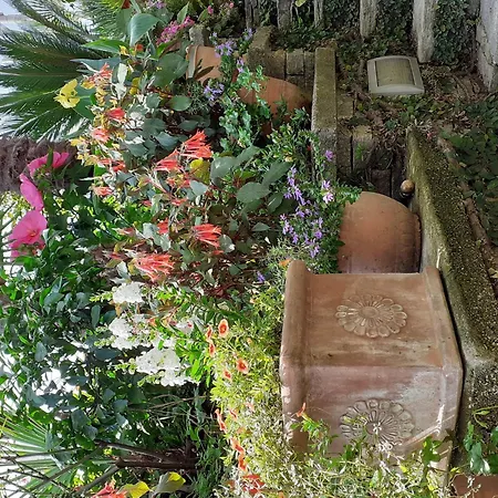 Belvilla By Oyo Casa Susanna Tatil Evi Verbania